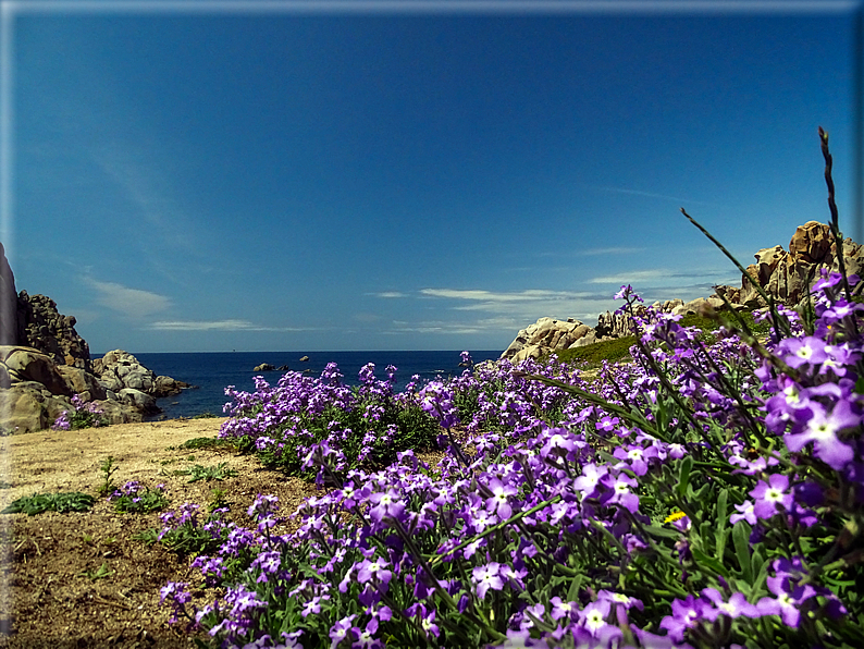 foto Cala Grande 